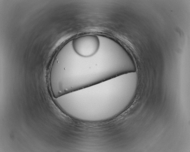 X0000115701404200911121354