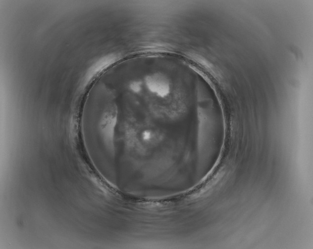 X0000115701405200911121355