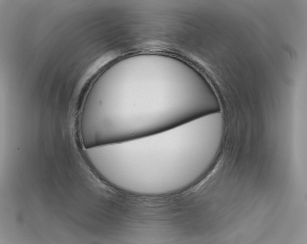 X0000115701410200911121355