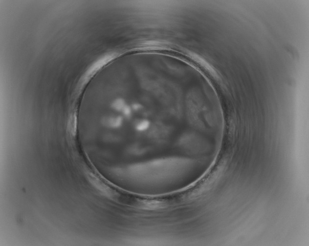 X0000115701413200911121355