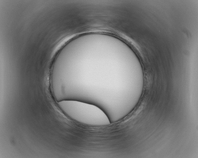 X0000115701415200911121355