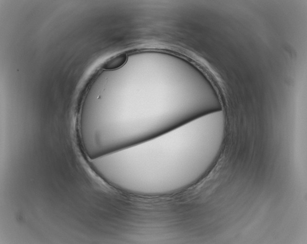 X0000115701416200911121355