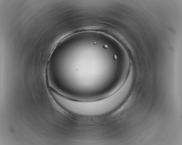 X0000115701417200911121355