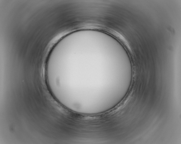 X0000115701419200911121355