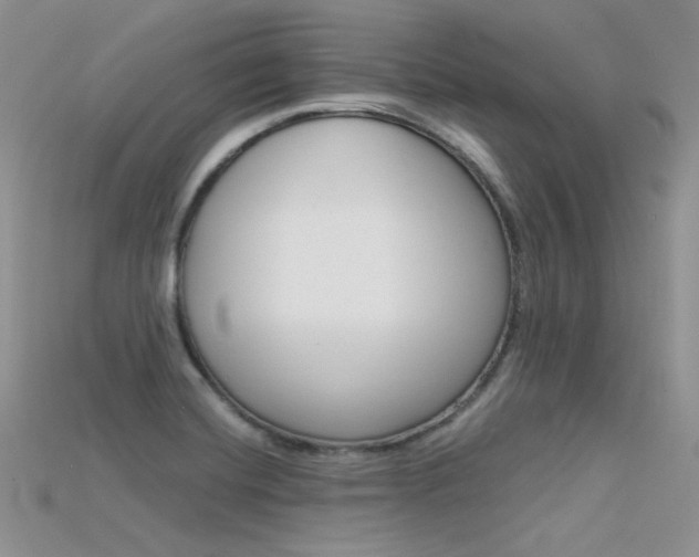 X0000115701420200911121355
