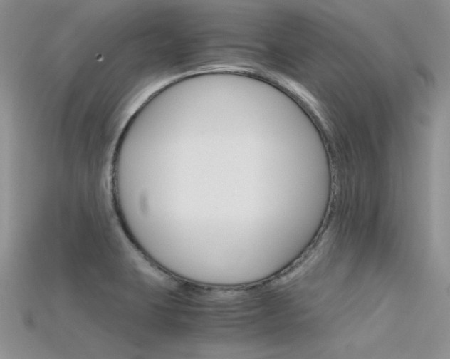 X0000115701423200911121355