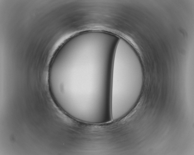 X0000115701424200911121355