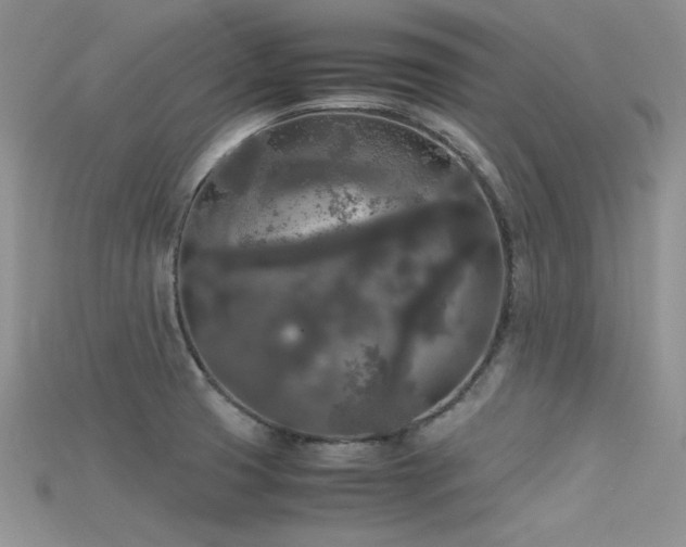X0000115701425200911121355