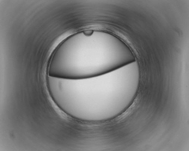 X0000115701426200911121355