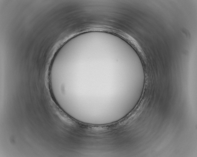 X0000115701427200911121355