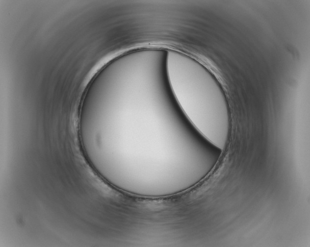 X0000115701428200911121355