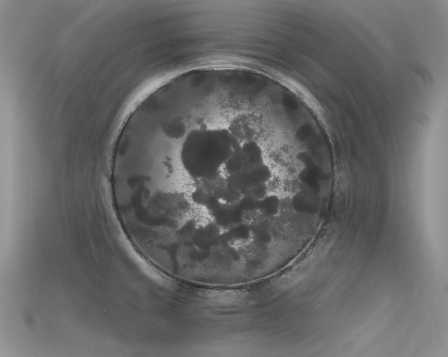 X0000115701429200911121355