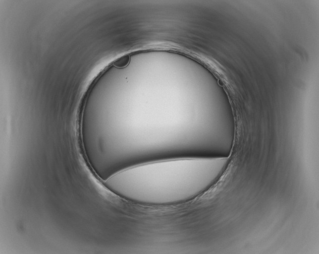 X0000115701430200911121355