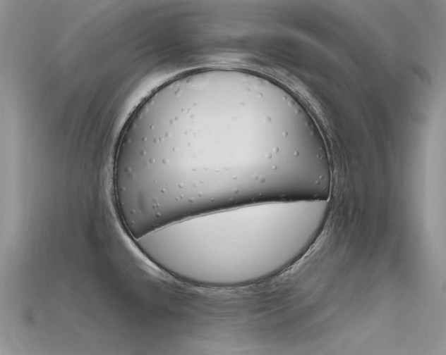X0000115701432200911121355