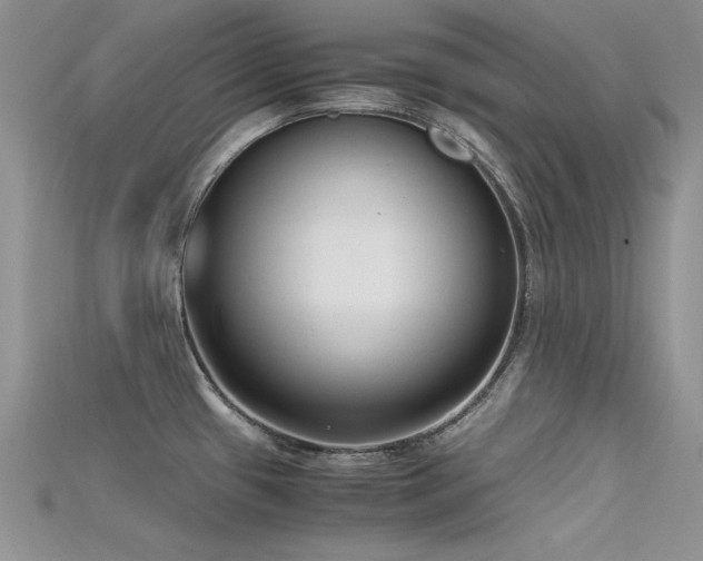 X0000115701433200911121355