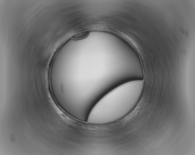 X0000115701434200911121355