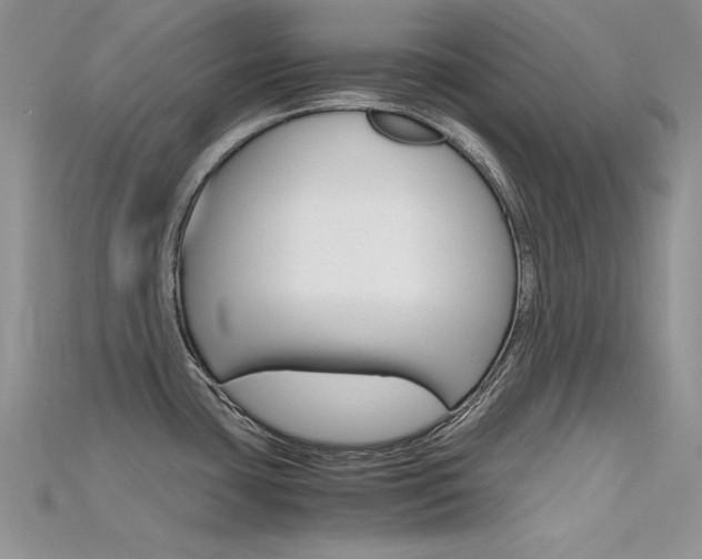 X0000115701435200911121355