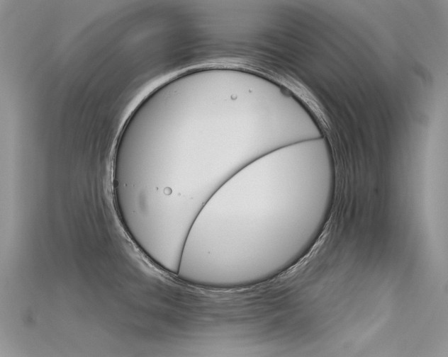 X0000115701436200911121355