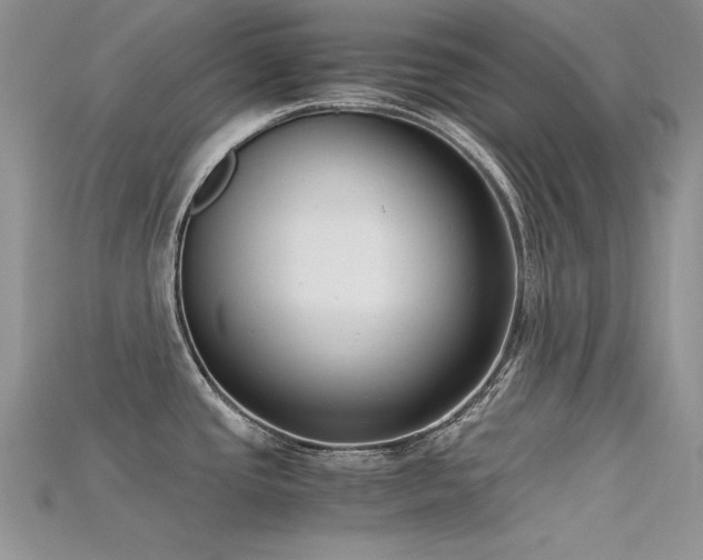 X0000115701437200911121355