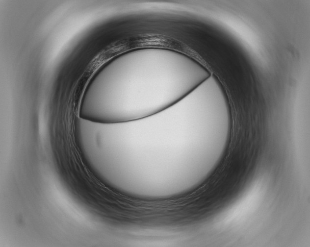 X0000115701438200911121355