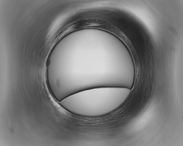 X0000115701439200911121355