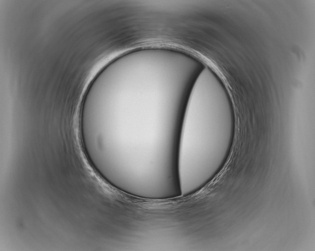 X0000115701440200911121355