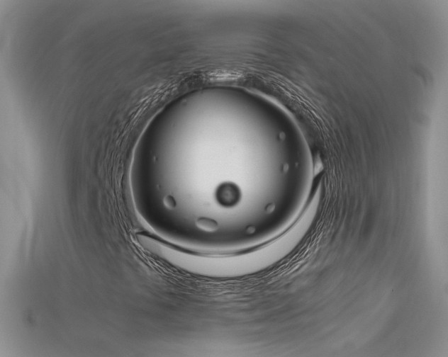 X0000115701441200911121354