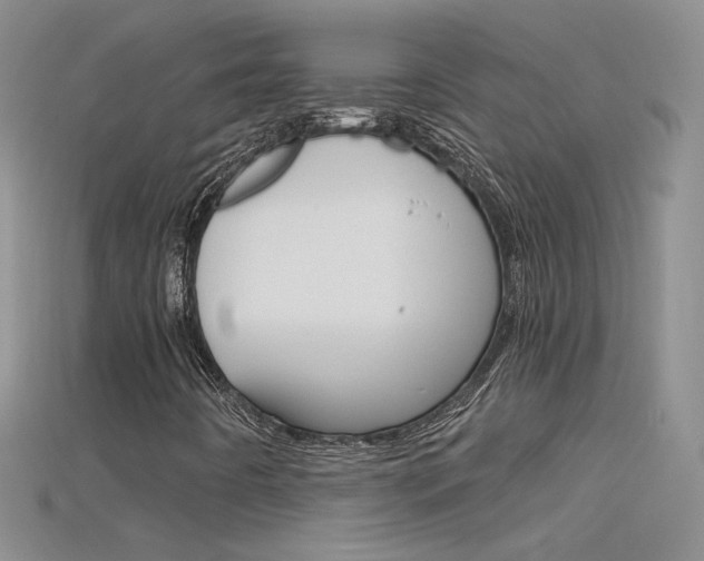 X0000115701442200911121354