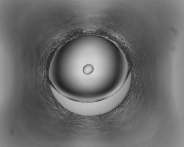 X0000115701445200911121354