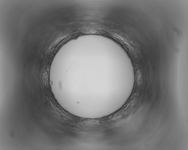 X0000115701446200911121354