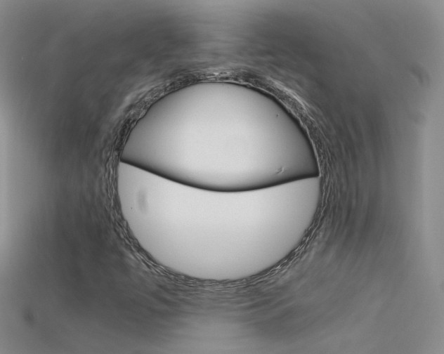 X0000115701447200911121354