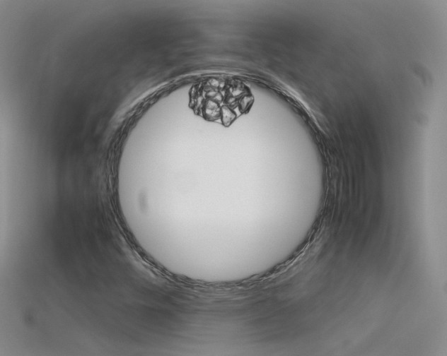 X0000115701448200911121354