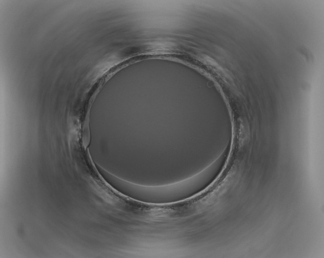 X0000115701449200911121354