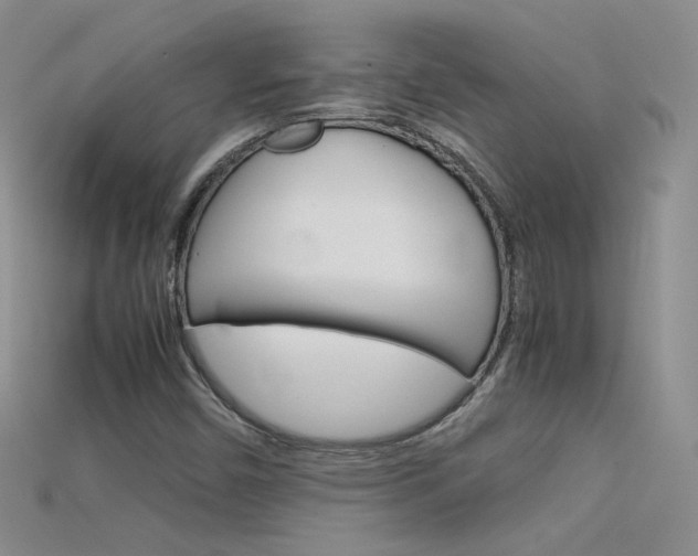 X0000115701450200911121354