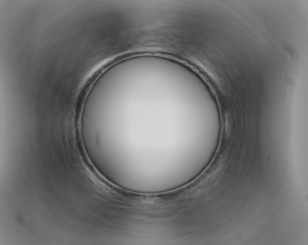 X0000115701452200911121354