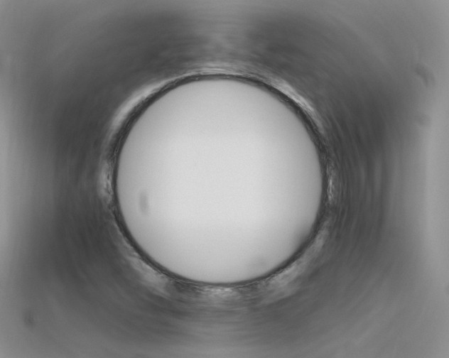 X0000115701454200911121354