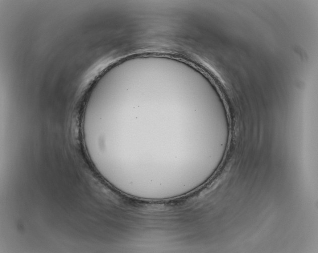 X0000115701455200911121354