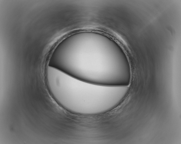 X0000115701456200911121354