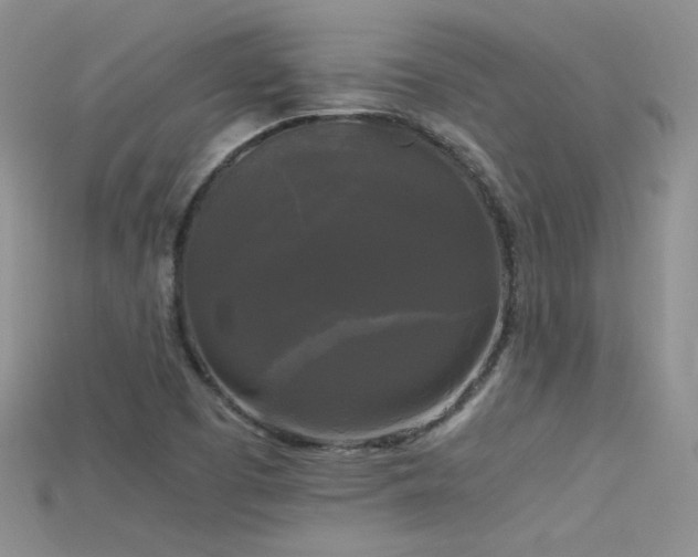 X0000115701457200911121354