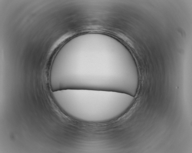 X0000115701458200911121354