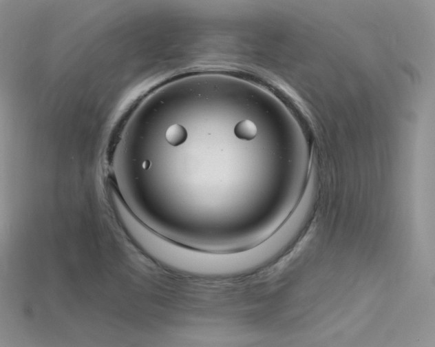 X0000115701461200911121354