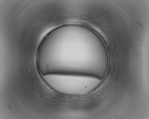 X0000115701463200911121354