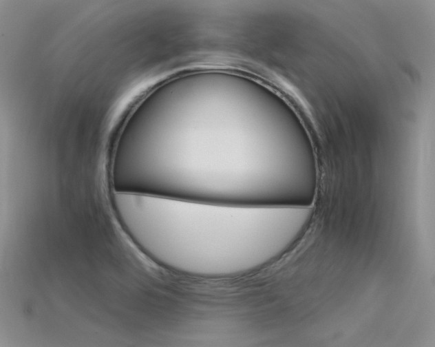 X0000115701464200911121354