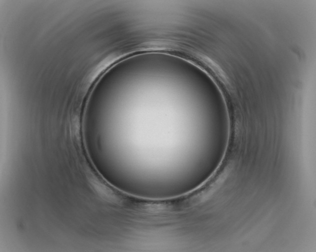 X0000115701465200911121354