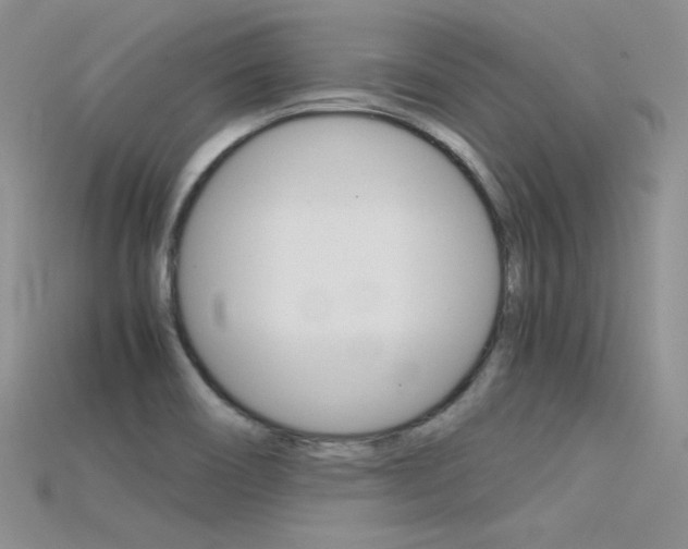 X0000115701466200911121354