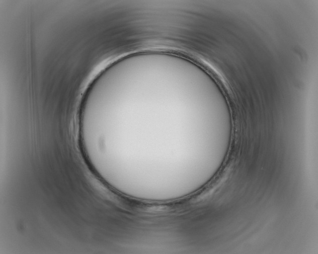 X0000115701467200911121354