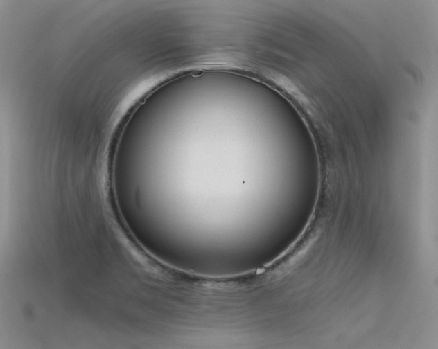 X0000115701469200911121354