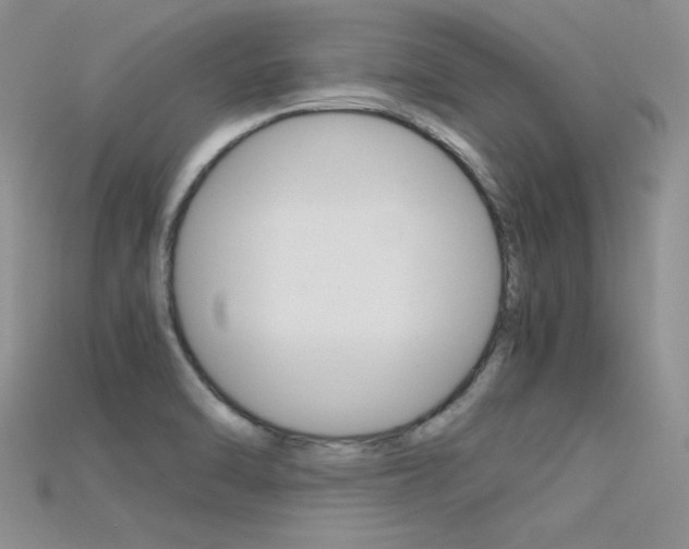 X0000115701470200911121354