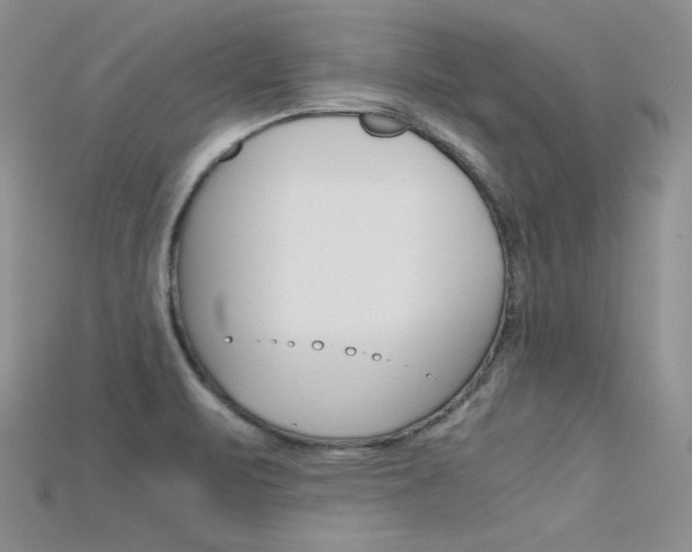 X0000115701471200911121354