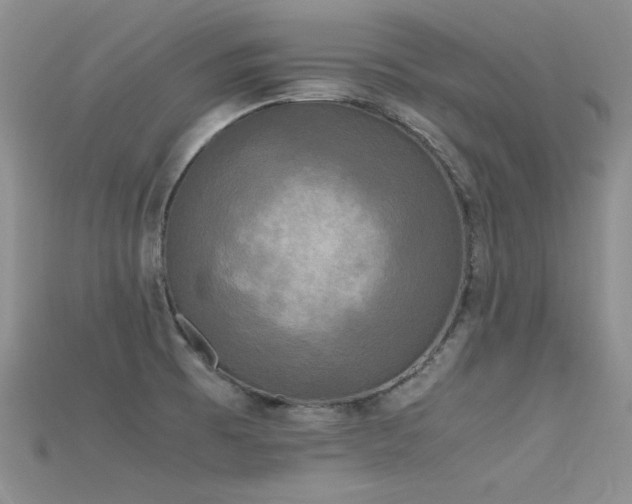 X0000115701473200911121354
